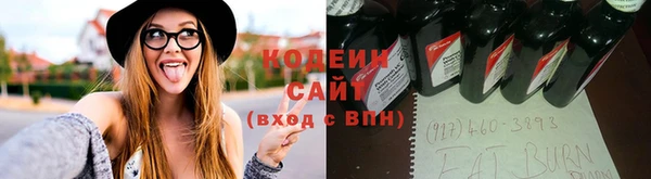 PSILOCYBIN Карпинск