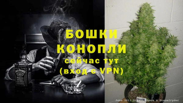 крисы Володарск